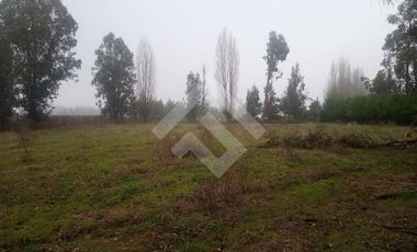 Parcela en Venta en Inmediato al kilómetro 315 de la Ruta 5 Sur