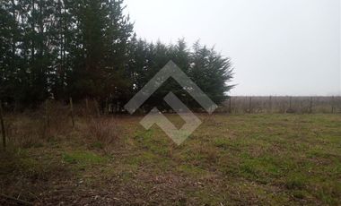 Parcela en Venta en Inmediato al kilómetro 315 de la Ruta 5 Sur