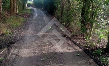 Parcela en Venta en Inmediato al kilómetro 315 de la Ruta 5 Sur