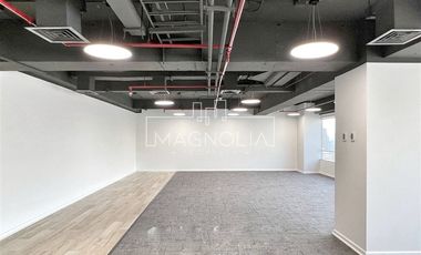 Arriendo Moderna Oficina Recién Remodelada, Providencia