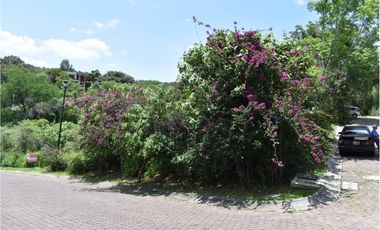 La noria: terreno con ubicación privilegiada