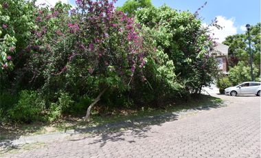 La noria: terreno con ubicación privilegiada