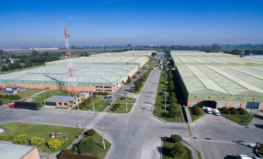 oficina en arriendo en la ramada. Cod A1087023