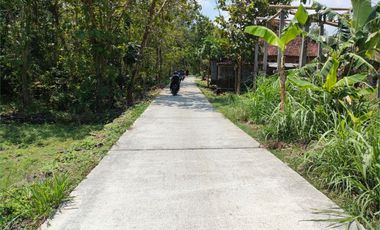 Dekat Pasar Sentolo, Tanah 90 Jt-an Profit 30%: Miliki Asset di Jogja