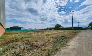 lote en venta en palmaseca - aeropuerto. Cod V7353857