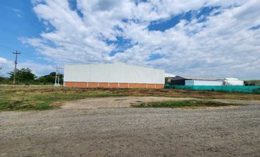 lote en venta en palmaseca - aeropuerto. Cod V7353857