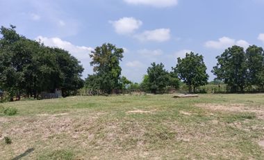 Land for sale in Kut Noi, Nakhon Ratchasima