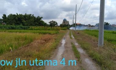DIJUAL TANAH MURAH TEMPEL TANJUNG KEDAMEAN GRESIK