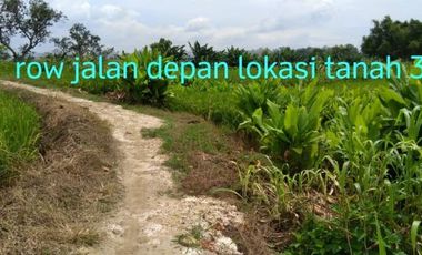 DIJUAL TANAH MURAH TEMPEL TANJUNG KEDAMEAN GRESIK