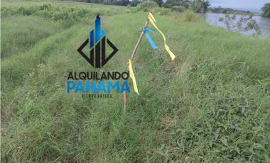 Se Vende Finca Agricola 29,1Ha,USD290,000,Chiriqui Baru