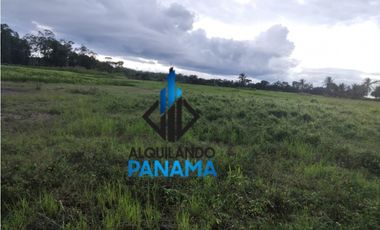 Se Vende Finca Agricola 29,1Ha,USD290,000,Chiriqui Baru