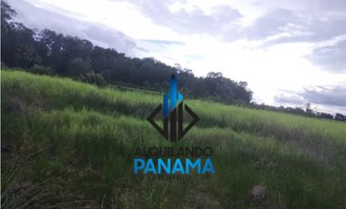 Se Vende Finca Agricola 29,1Ha,USD290,000,Chiriqui Baru