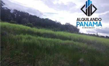 Se Vende Finca Agricola 29,1Ha,USD290,000,Chiriqui Baru