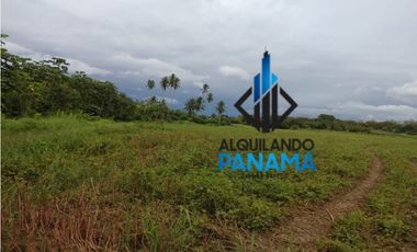 Se Vende Finca Agricola 29,1Ha,USD290,000,Chiriqui Baru