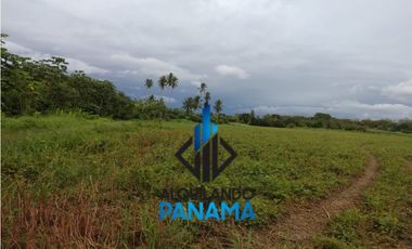 Se Vende Finca Agricola 29,1Ha,USD290,000,Chiriqui Baru