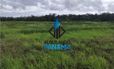 Se Vende Finca Agricola 29,1Ha,USD290,000,Chiriqui Baru