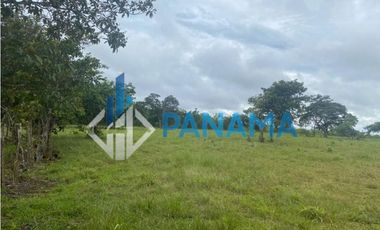 Se Vende Hermosa Finca Ganadera 96 Ha San Lorenzo USD$748,800,00