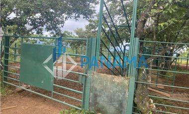 Se Vende Hermosa Finca Ganadera 96 Ha San Lorenzo USD$748,800,00