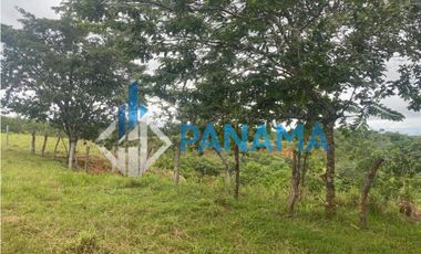 Se Vende Hermosa Finca Ganadera 96 Ha San Lorenzo USD$748,800,00