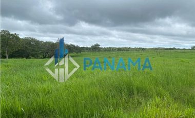 Se Vende Hermosa Finca Ganadera 96 Ha San Lorenzo USD$748,800,00