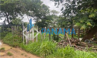 Se Vende Hermosa Finca Ganadera 96 Ha San Lorenzo USD$748,800,00