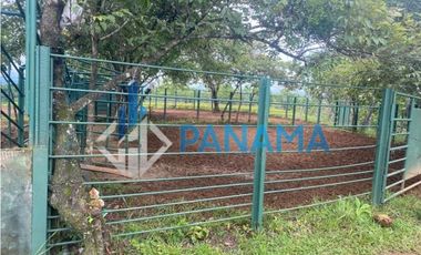 Se Vende Hermosa Finca Ganadera 96 Ha San Lorenzo USD$748,800,00
