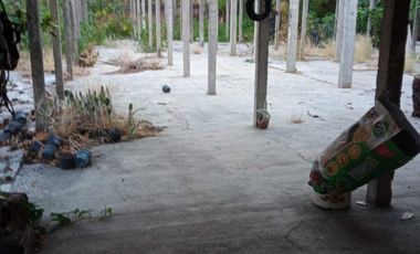 3 LOTES EN VENTA EN PRIVADA DE LAS NIEVES, COL. CHAPULTEPEC, CUERNAVACA MOR.