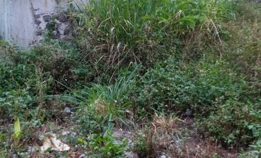 3 LOTES EN VENTA EN PRIVADA DE LAS NIEVES, COL. CHAPULTEPEC, CUERNAVACA MOR.