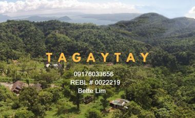 For Sale 32,292 SQM Lot in Tagaytay Overlooking Taal Lake