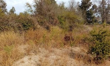 Terreno Construccion  en Venta en EL MANZANO