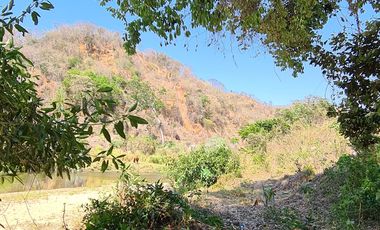 VENDO TERRENO IDEAL PARA RANCHO DE CRIA DE GANADO O CULTIVO COLINDANTE CON RIO