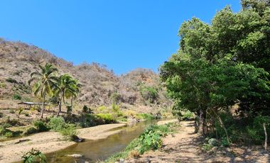 VENDO TERRENO IDEAL PARA RANCHO DE CRIA DE GANADO O CULTIVO COLINDANTE CON RIO