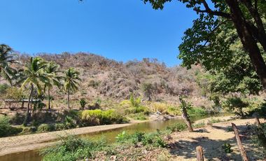 VENDO TERRENO IDEAL PARA RANCHO DE CRIA DE GANADO O CULTIVO COLINDANTE CON RIO