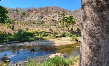 VENDO TERRENO IDEAL PARA RANCHO DE CRIA DE GANADO O CULTIVO COLINDANTE CON RIO