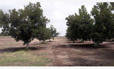 TERRENOS CAMPESTRE EN VENTA EN GOMEZ PALACIO DGO.