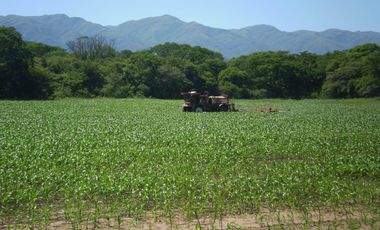 Oportunidad - Campo en Venta en Rosario de La Frontera