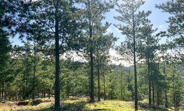 Parcela en venta en Loteo Fundo Boyeruca