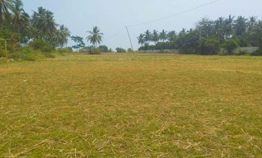 Dijual Cepat Tanah Panimbang Banten 1,5 Ha Pinggir Jln Utama