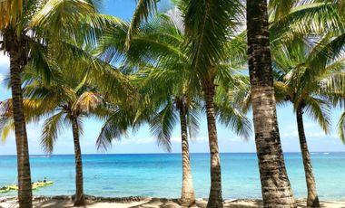 Terreno uso de suelo mixto, comercial - residencial en venta en Isla Cozumel, zo