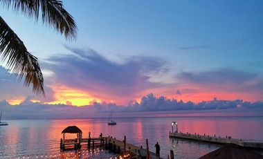 Terreno uso de suelo mixto, comercial - residencial en venta en Isla Cozumel, zo