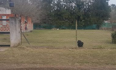 Casa 3 Ambientes En Venta Lote 1650 m2 - Francisco Alvarez, Moreno