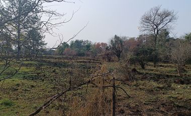 GRAN LOTE FRENTE AL CLUB DE CAMPO LA EUGENIA. VENTA GARUPA MISIONES.