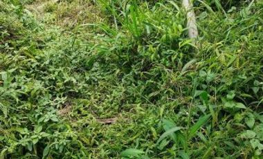 Tanah Kavling Siap Bangun Sayap Citeureup Cimahi Utara
