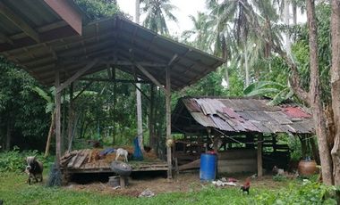 ทรัพย์ บสส. รหัส 8Z4077 บ้านเดี่ยว  ปัตตานี