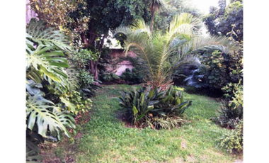 Lote Propio 10 x 27 2 Locales + vivienda