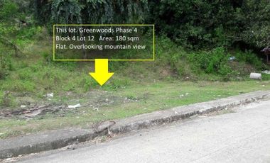 180 Sqm Residential Lot for Sale near Talamban Cebu City with Mountain View