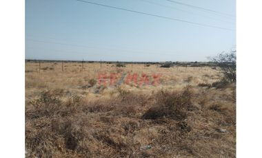 Venta De Terreno Margen Carretera Piura-Paita