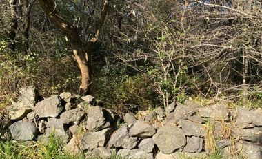 TERRENO EN EL PEDREGAL