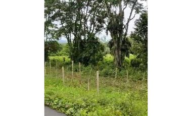 VENDO 70 HECTAREAS TITULADAS 25 MIN CHANGUINOLA