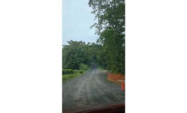 VENDO 70 HECTAREAS TITULADAS 25 MIN CHANGUINOLA
